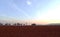 Minimalist horizontal landscape of red earth and sky with a line of cypress trees on the horizon, in Bekaa valley, Lebanon