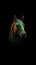 Minimalist Horse on Dark Background.