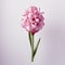 Minimalist Hyacinth: Surrealistic Single Flower Retouching