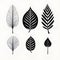 Minimalist inked impressions: capturing the essence of monochromatic leaves