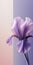 Minimalist Iris Flower Mobile Wallpaper For Sensational And Samsung Qn900a