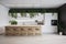 minimalist kitchen with clean, sleek lines and a touch of greenery