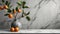 Minimalist kitchen with white quartz countertop, plants, oranges, and space for text