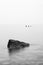 Minimalist landscape image of shipwreck ruin in sea black and white