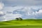 Minimalist Landscape of rolling hills and cluster of trees