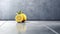 Minimalist Lemon Still Life On Polished Concrete