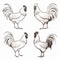 Minimalist Line Drawings Of Roosters Set On White Background