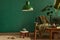 Minimalist living room interior in stylish house with design velvet sofa, carpet on floor, brown wooden furniture, plant, book.
