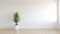 Minimalist Living: A Serene Empty Room With A Potted Aloe Vera Plant