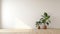 Minimalist Living: Three Plants In An Empty Room With Large Windows