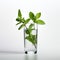 Minimalist Mint Glass With Freshness And Detailed Foliage
