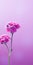 Minimalist Mobile Wallpaper: Elegant Verbena On Blurred Background