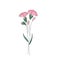 Minimalist modern pink carnation flower, line art with colorful abstract shapes. Trendy one line drawing. Simple clear design. Car