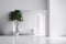 Minimalist modern white room. Cozy white and grey room minimal concept, white walls and green plants, 3d rendering, AI generated