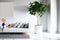 Minimalist modern white room. Cozy white and grey room minimal concept, white walls and green plants, 3d rendering, AI generated