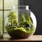 Minimalist Mossy Terrarium in Tranquil Setting