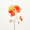 Minimalist Nasturtium: Photorealistic Still Life Of An Orange Flower