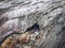 Minimalist nature background of glacier surface with cave and cracks. Minimal natural backdrop of icy wall and blocks of ice from