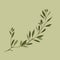 Minimalist Olive Branch Illustration On Green Background