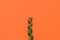 Minimalist orange background with green eucalyptus branch. Calm and tranquility.