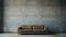 Minimalist Oriental Brown Couch In Brutalist Environment