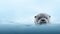 Minimalist Otter Sitting In Clear Blue Water