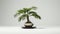 Minimalist Palm Bonsai Tree On Grey Background - Hd Desktop Wallpaper