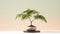 Minimalist Palm Bonsai Tree: Vienna Lager Desktop Wallpaper