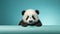 Minimalist Panda Portrait: A Playful Peek Behind The Blue