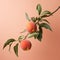 Minimalist Peach Background With Dynamic Color Schemes