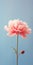 Minimalist Peony Mobile Wallpaper For Best And Samsung Qn900a