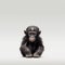 Minimalist Photography Of A Cute Baby Chimp On Gray Background