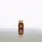 Minimalist Photography Of A Cute Beaver With Calming Symmetry
