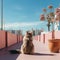 Minimalist Photography: A Cute Cat In A Pink Potted Area