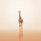 Minimalist Photography Of A Cute Giraffe With Japanese Minimalism