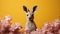 Minimalist Photography: Cute Kangaroo Amidst Flower On Yellow Background