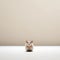 Minimalist Photography: Cute Mouse In Japanese Minimalism Style