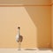 Minimalist Photography Of A Cute Ostrich In Japanese Minimalism Style