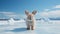 Minimalist Photography: Cute Rabbit Standing By Large Ice Structure