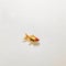 Minimalist Photography: A Gold Fish In Japanese Minimalism Style