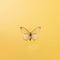 Minimalist Photorealistic Surrealism: Yellow Butterfly On Yellow Background