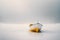 Minimalist picture of a small boat on a partially frozen lake. Winter landscape.