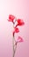 Minimalist Pink Calla Lily Mobile Wallpaper