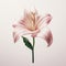 Minimalist Pink Lily On Gray Backdrop - Hyper-realistic Floral Art