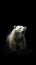 Minimalist Polar Bear on Dark Background. Generative AI