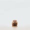 Minimalist Portrait Of A Cute Beaver: Uhd Image For Japanese Minimalism Enthusiasts