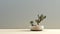 Minimalist Potted Cactus Bonsai Tree - Zen Buddhism Inspired 3d Rendering