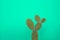 Minimalist prickly pear with green water background and shadow