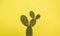 Minimalist prickly pear with yellow background and shadow
