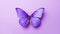 minimalist purple butterfly background